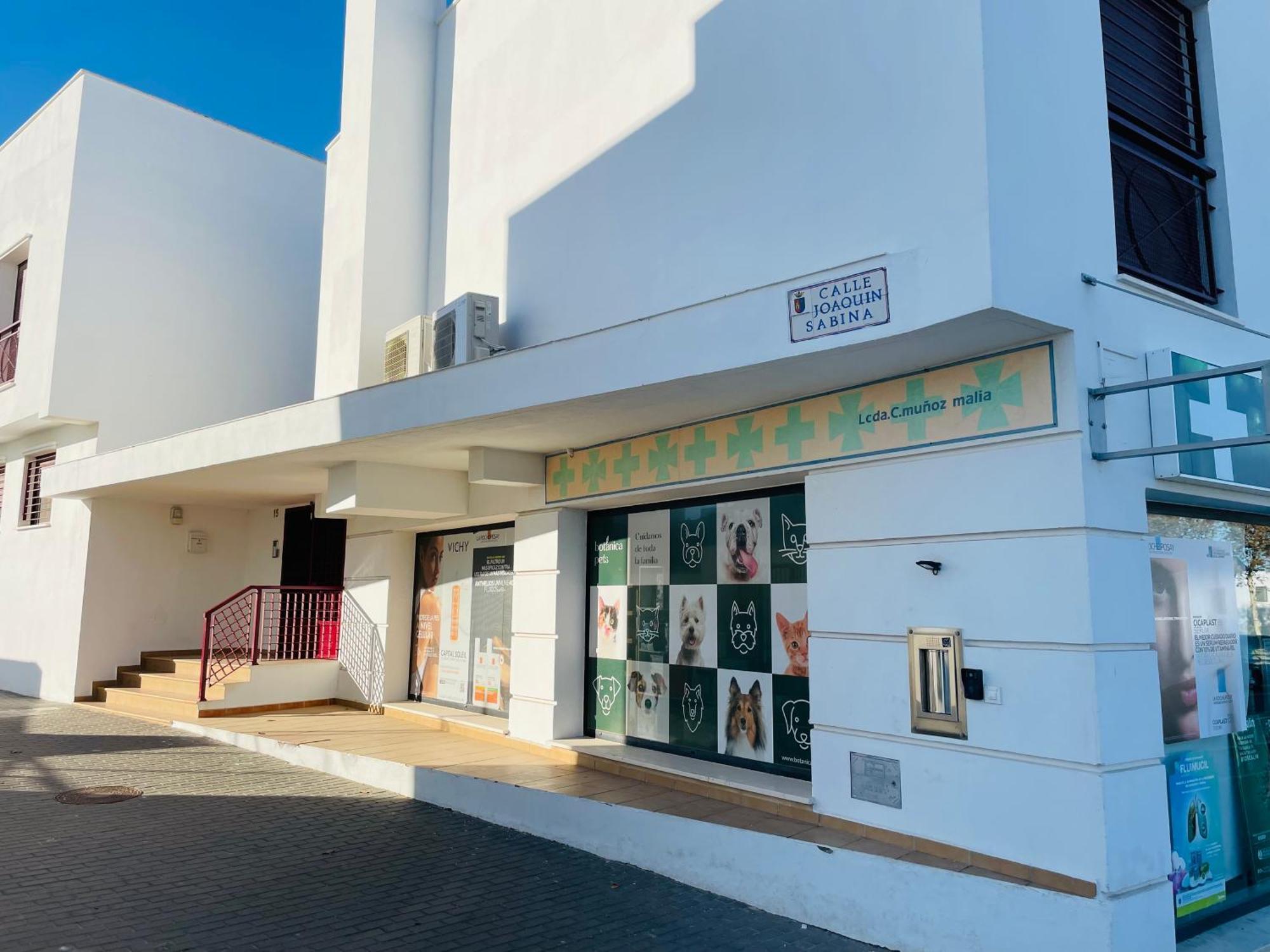 Atico Premium Conil Con 2 Terrazas, Parking, Piscina, Aire Ac Y Wifi -Solo Familias Y Parejas- Apartment Conil De La Frontera Luaran gambar